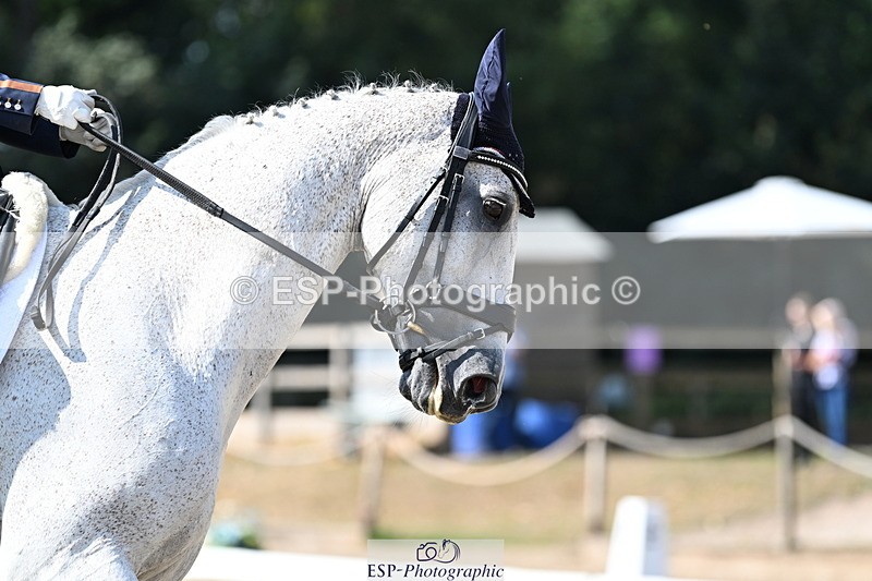 250810A-104322-05320 - 161-Elizabeth.AllenFreestyle.R