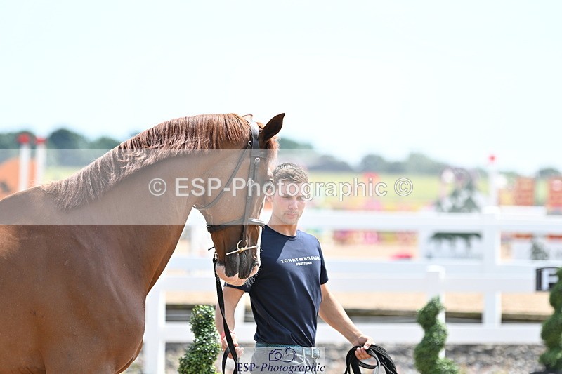 240717A-145853-02392 - Trot Up 2pm to 3pm - This folder is not in time order