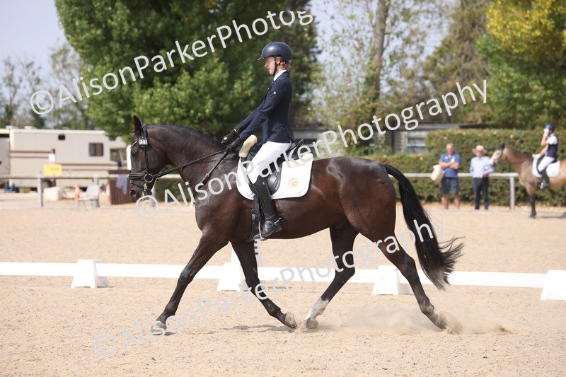 20260816-1086 - Class 4 - Novice 6