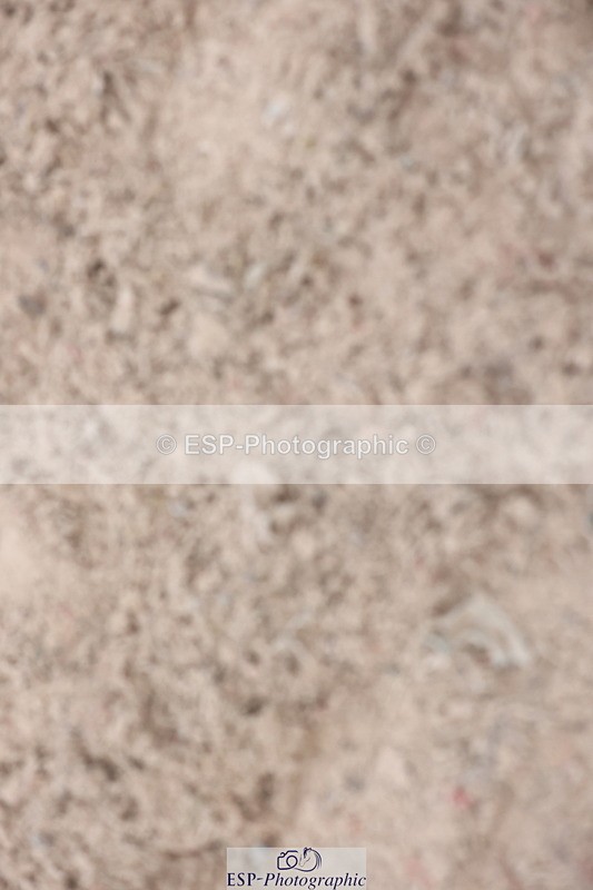 241101A-154030-03082 - FRI Cls 7 Blue Chip Grade B&C Jump Off