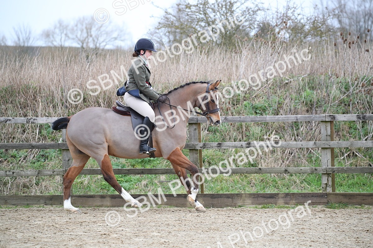 SBM_004774 - Class 5-9 - NPS In Hand-Show Hunter-Intermediate Ridden Inc Ridden Championship