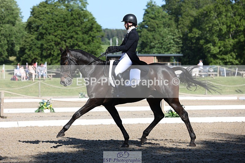 230526-090138-04985 - 351-TRINITY_CAVALIER-Henrietta_Horsley-gubbins-WEDTrotUp+DR