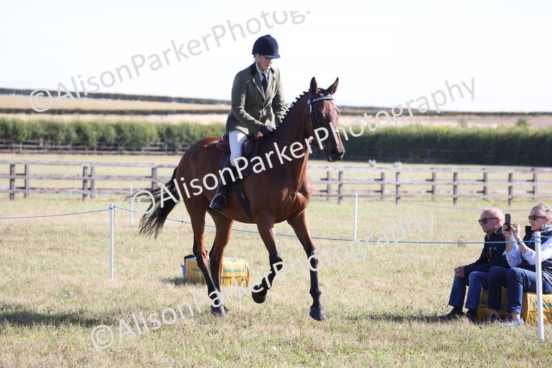 20260906-0357 - Class 14 - Ex Racehorse