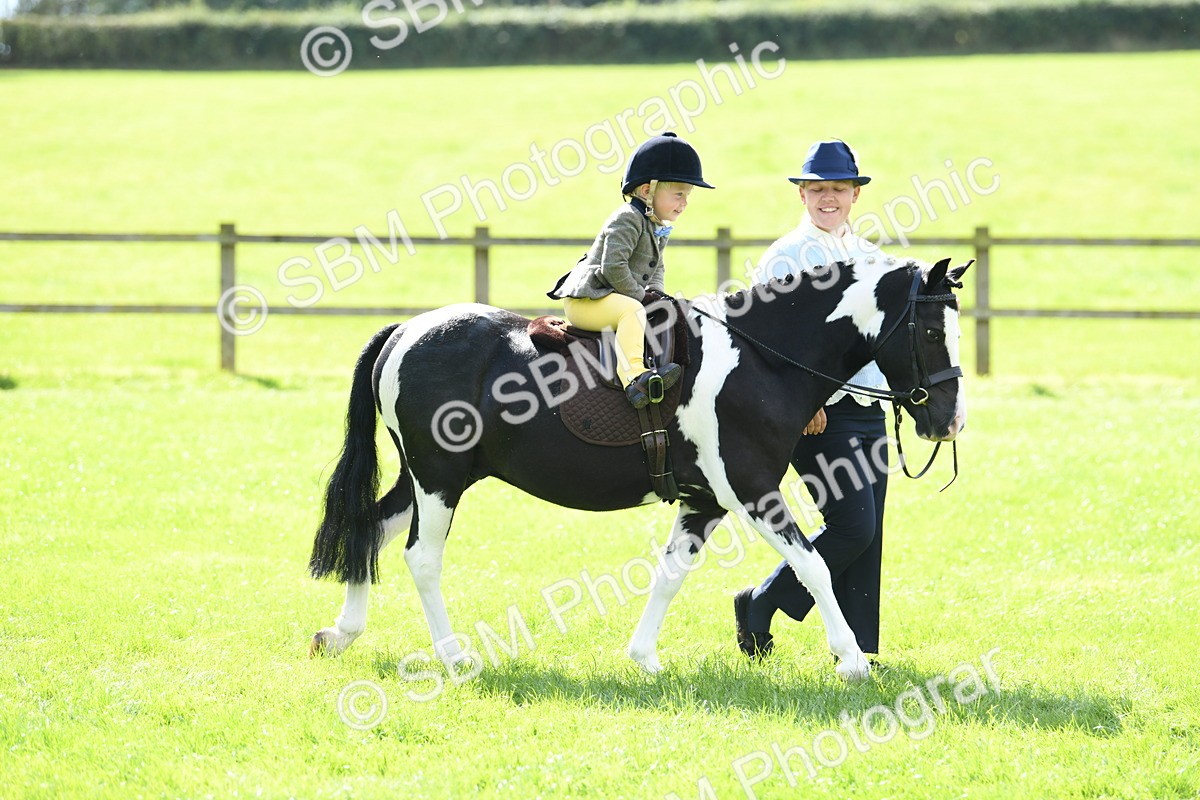 SBM_41126 - S19 - Lead Rein Show & Show Hunter Pony