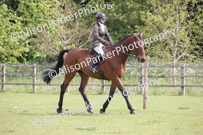 20260426-4323 - Class 34 - Best Riding Horse Over 14.2hh