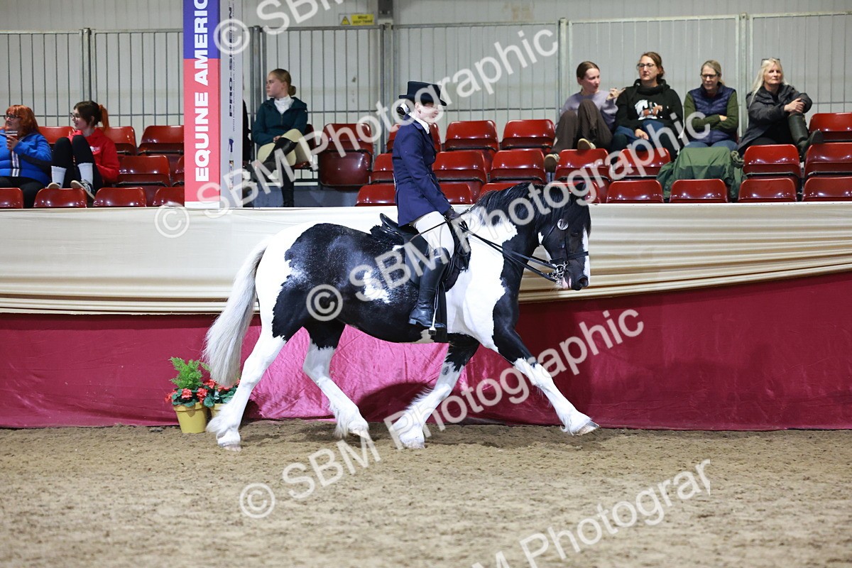 SBM_21130 - class Q - Ridden Horse Champ