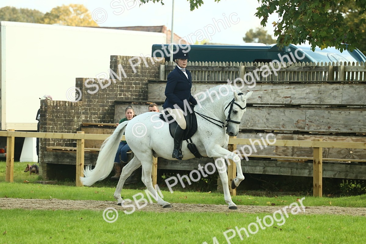 SBM_62449 - S62 - Foreign Breeds Ridden