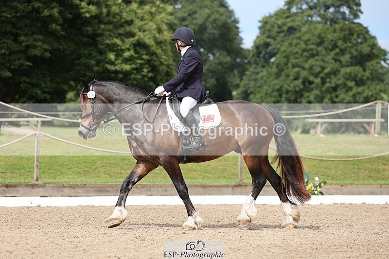 240721-115736-08488 - 176-Amanda_Williams-Llanarth_Westminster