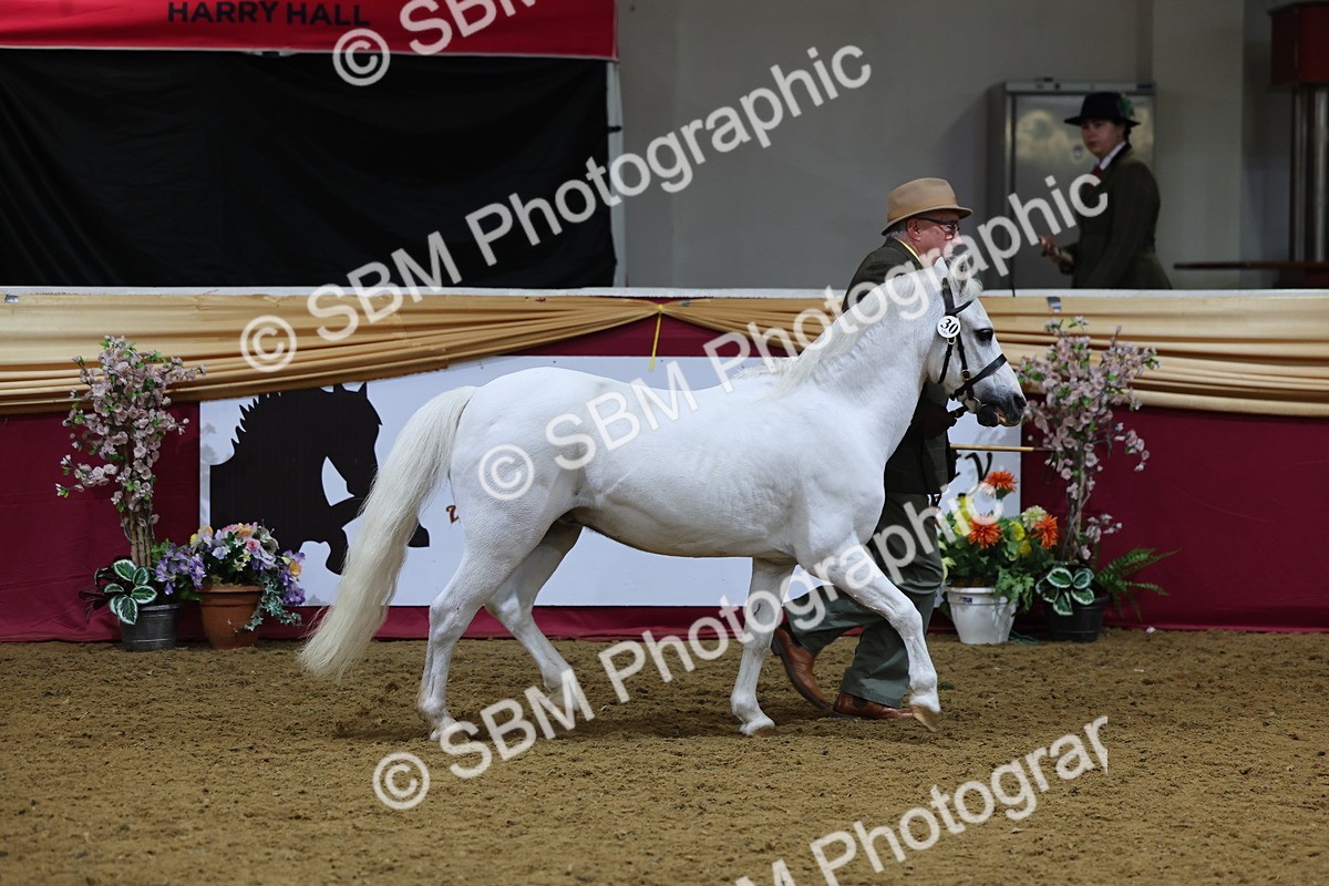 SBM_19382 - Class 901 - Supreme Final - IH Diamond