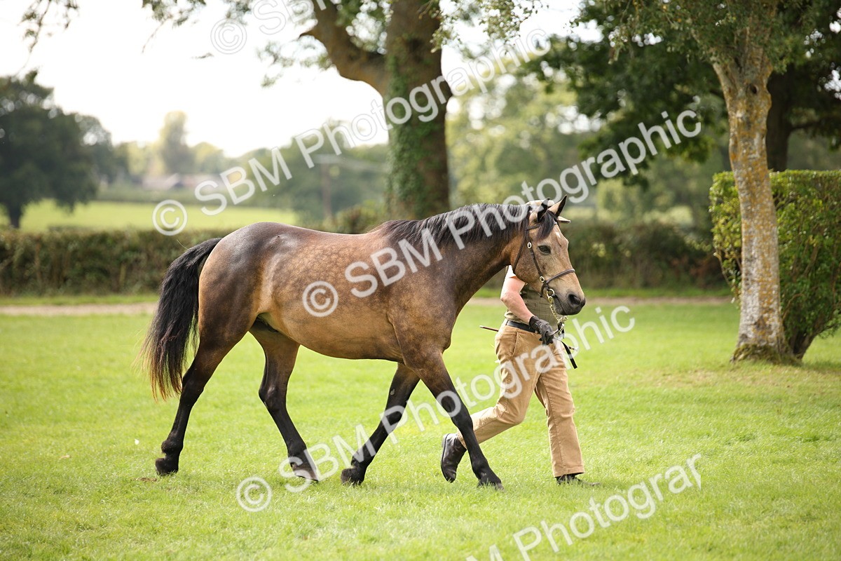 SBM_44534 - S24 - Young Veteran in hand