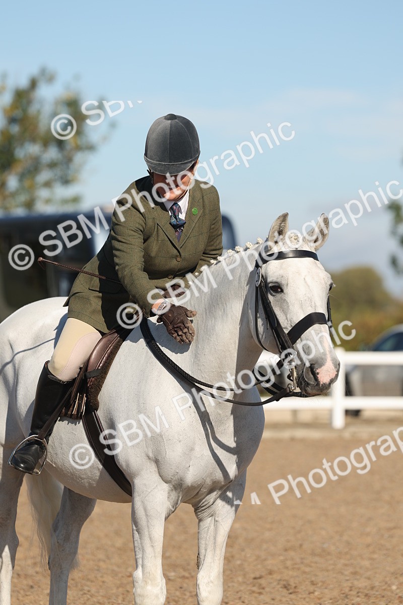 SBM_12228 - Class 303 - Ridden Pure Bred Horse Pony