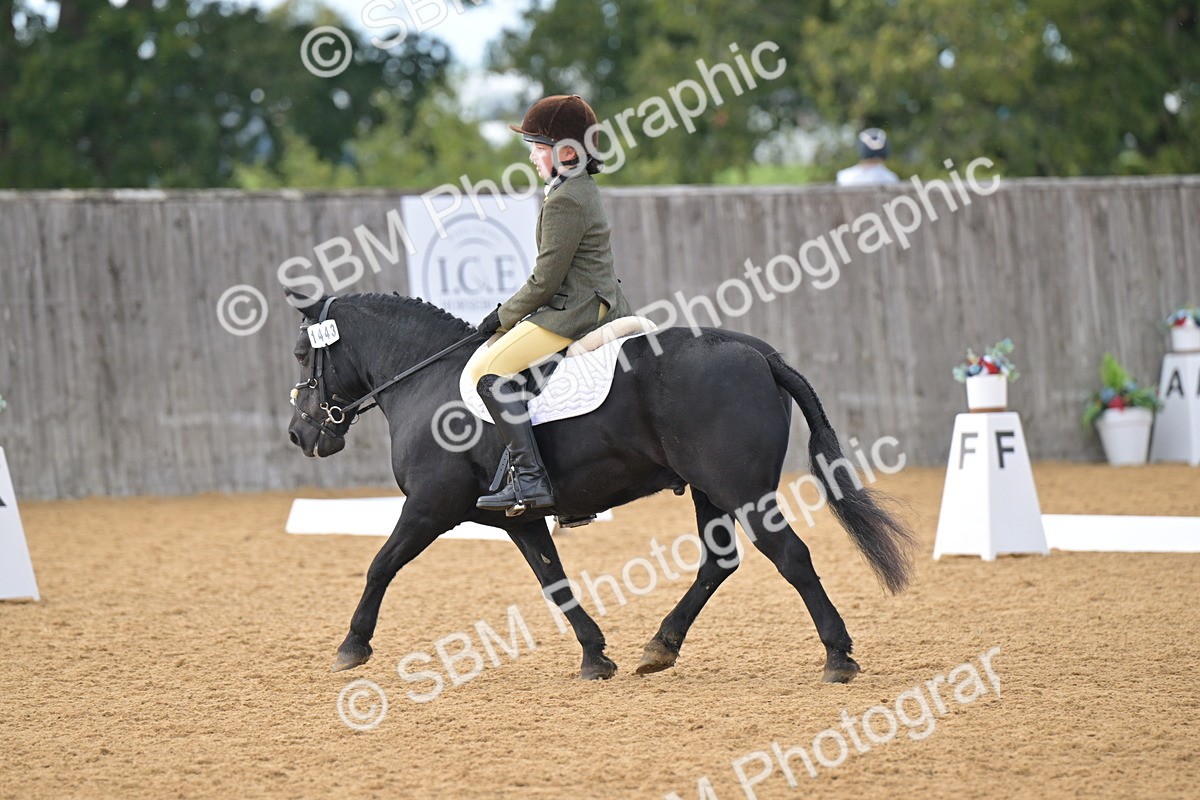 SBM_12893 - D3 - Small Tour Championship Intro 3