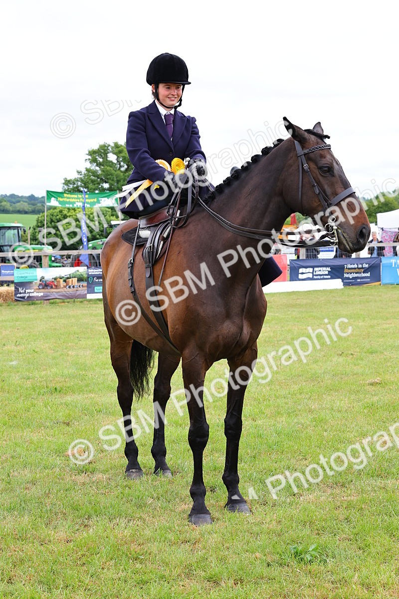 SBM_02782 - Class 9-11 Side Saddle including LIHS Rising Star Ladies Show Horse