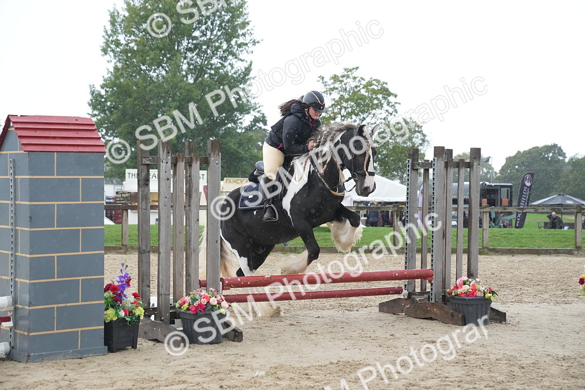 SBM_01588 - J54 - Clear Round 50cm