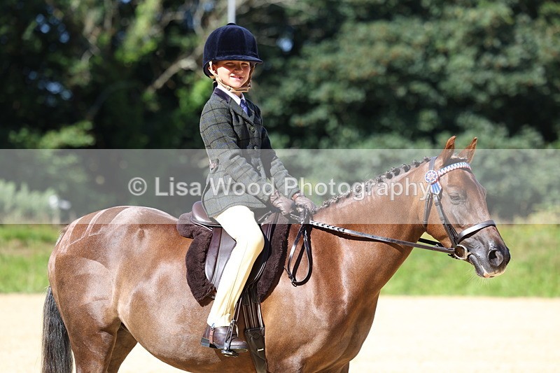 3E7A7927 - Class 14: Tack and Turnout