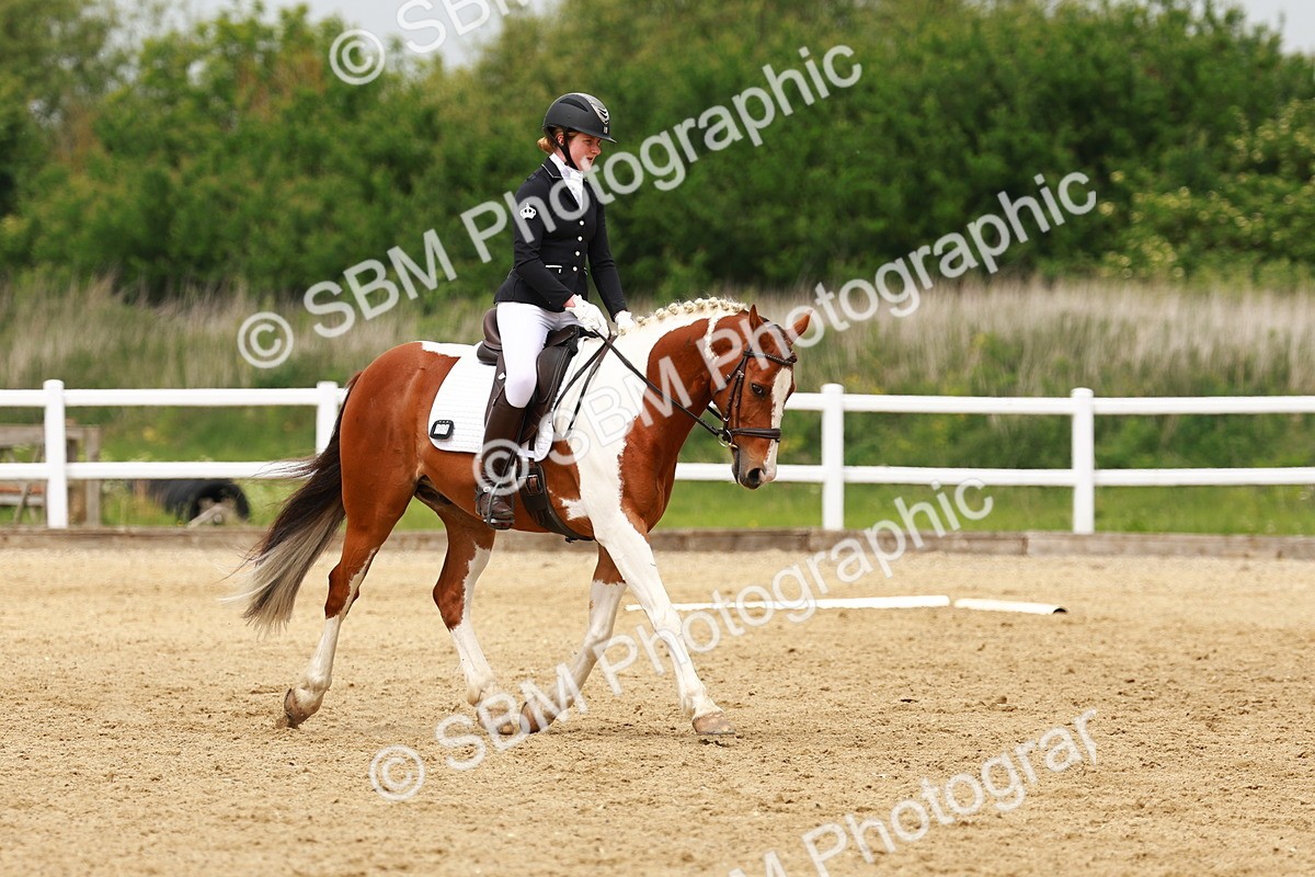 SBM_001680 - Class 7 - Novice 5