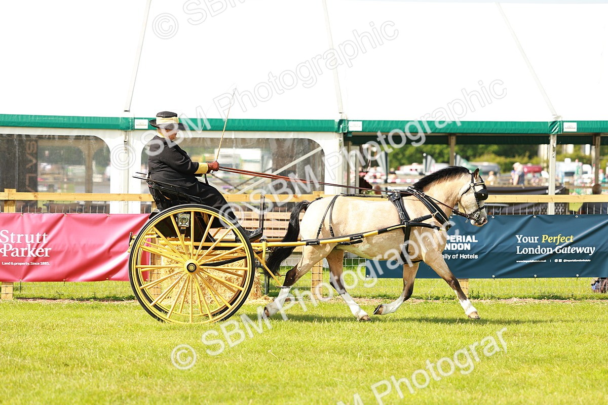 SBM_02570 - Class 2-4 - HOYS Private Driving
