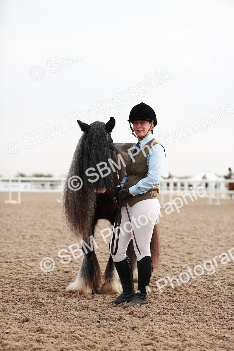 SBM_09526 - Class 201 Best Turned Out IH