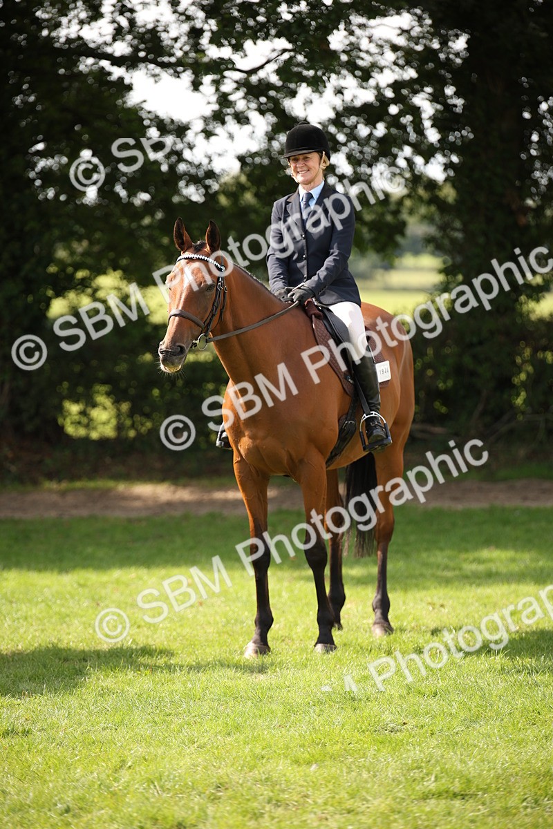 SBM_65984 - S64 - Riding Horse & Hack & Thoroughbred Ridden