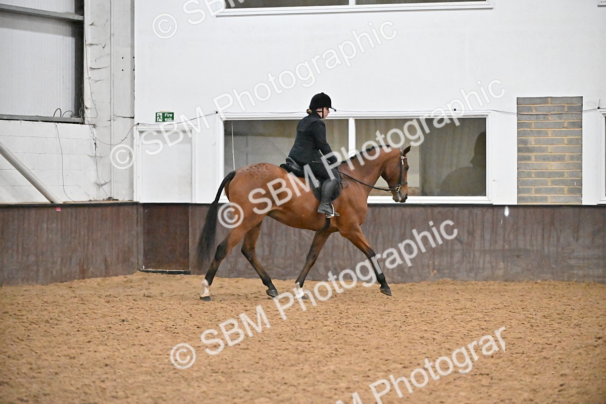 SBM_002996 - Class 37,38 - UKPSAF Performance Horse & Pony