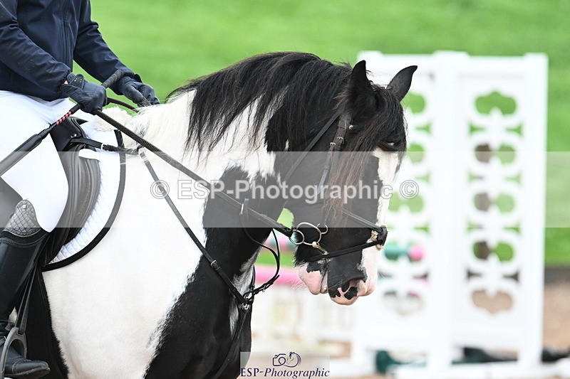 240908A-100314-02795 - Cls 11 Nat Am 85cm Qualifier