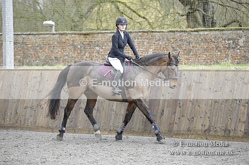 BVRC 050320 0309 - Bourne Valley riding Club Show Jumping Tidworth 08/03/20