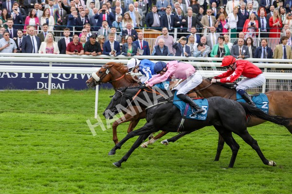 190523-Race 3-Marhaba The Champ-7760 - Race 3 3.00pm Knights Solicitors Handicap