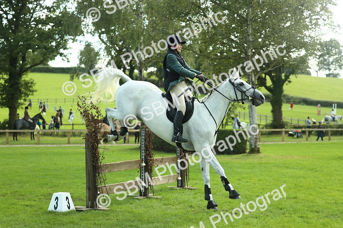 SBM_50590 - S33 - Working Hunter & Working Show Horse