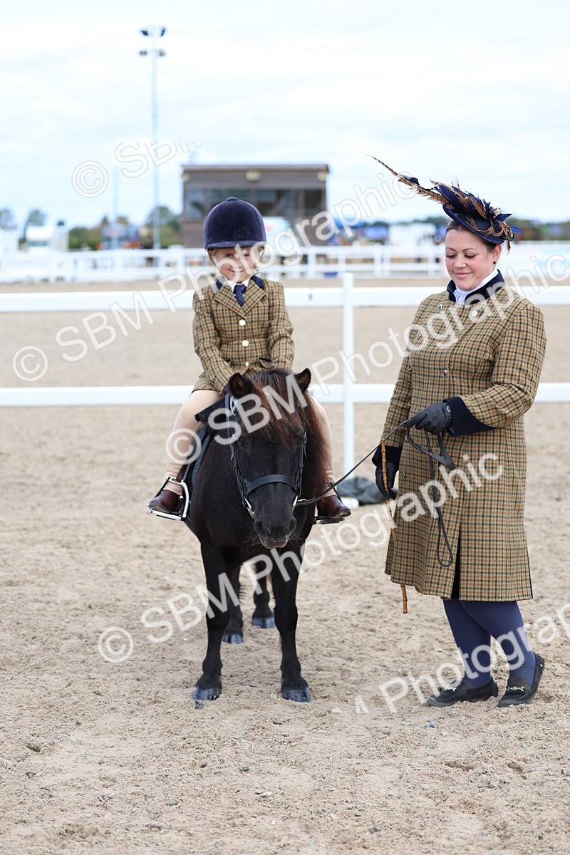 SBM_13089 - Class 309 - Lead Rein Pony
