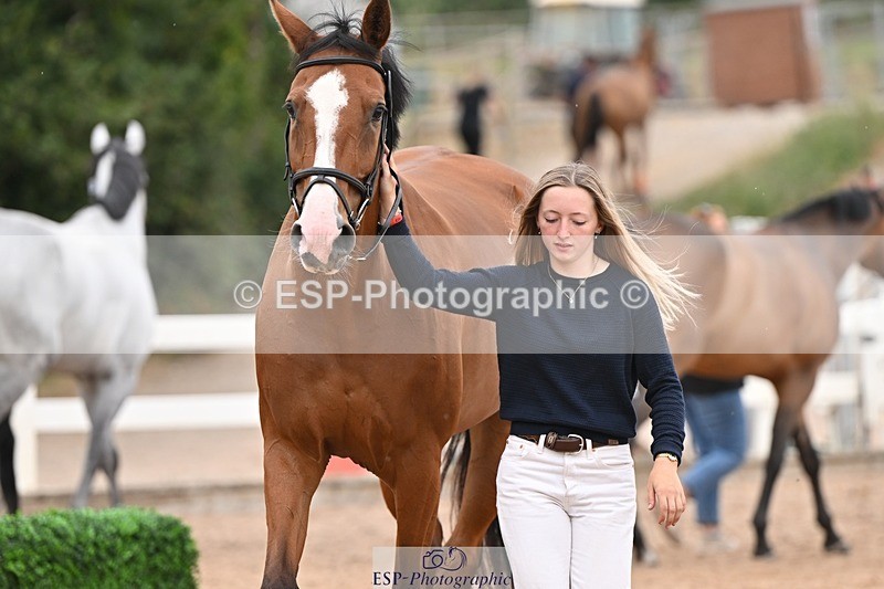 250716-160809-02438 - Trot Up 3.30 to 4.30