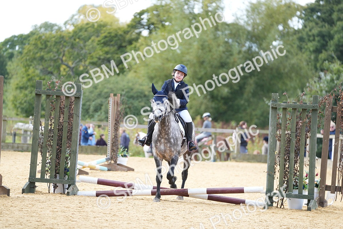 SBM_64448 - J2 - Mini Tour Junior Pony 30cm Championship