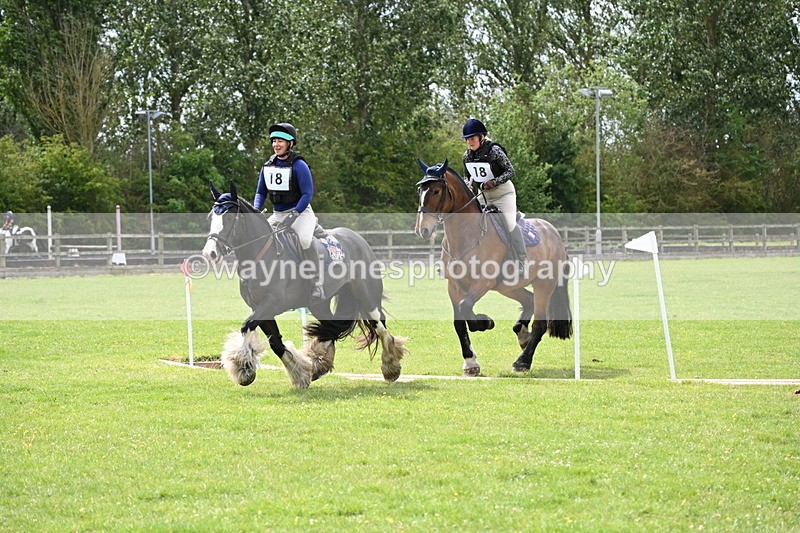 WJ6_2757 - Class 3 60cm Pairs