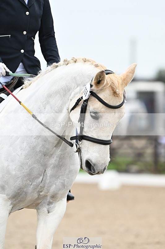 241103-101815-00314 - Intro 3 - 9.40 to 10.40