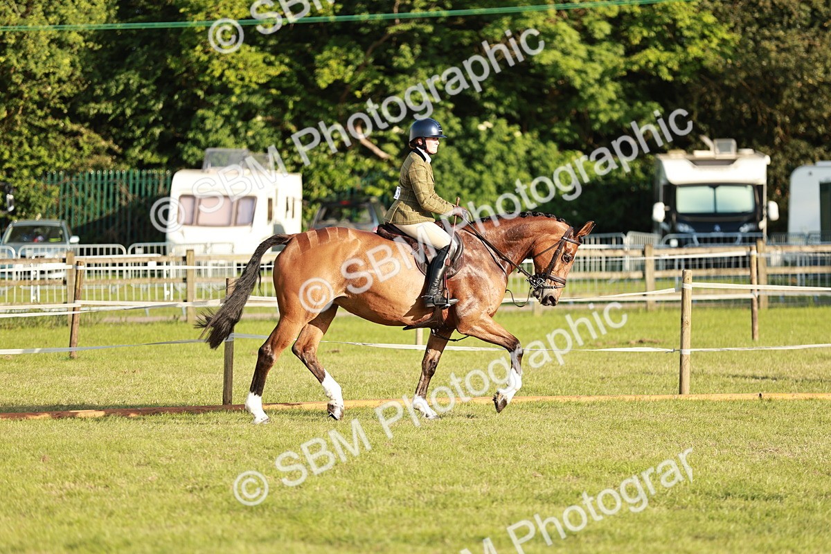 SBM_20444 - Class 117-119 - Sport Horse Working Hunter
