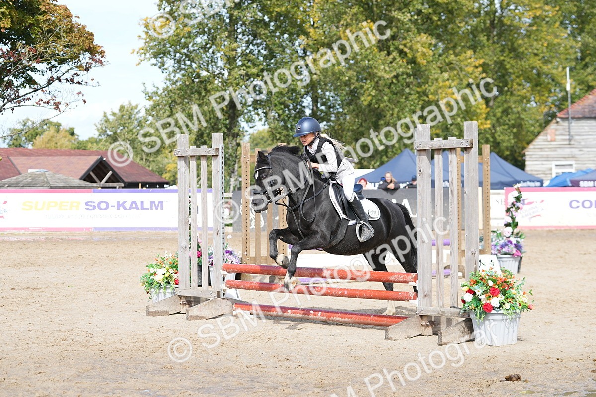 SBM_40765 - Supreme Championship Pony 50-55cm