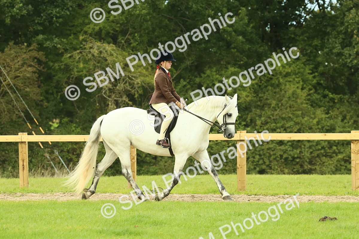 SBM_71842 - S60 - Mountain & Moorland Ridden Large Breeds
