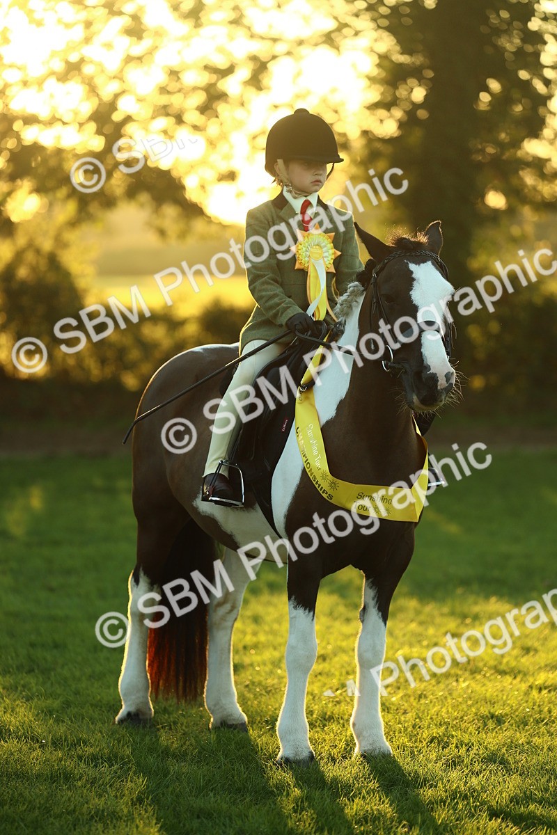 SBM_56623 - Fun & Versatile Supreme Championship