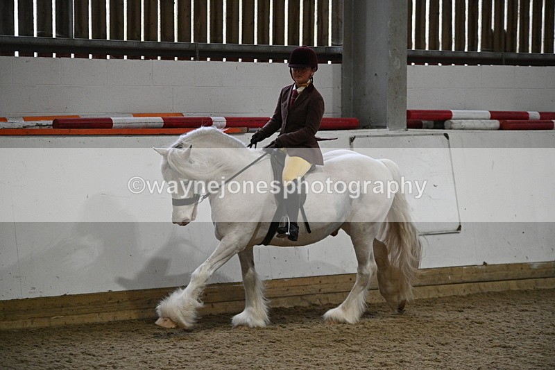 WJ7_4197 - Class 17 Ridden Cob