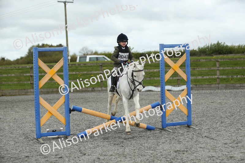 20260412-0666 - Show Jumping
