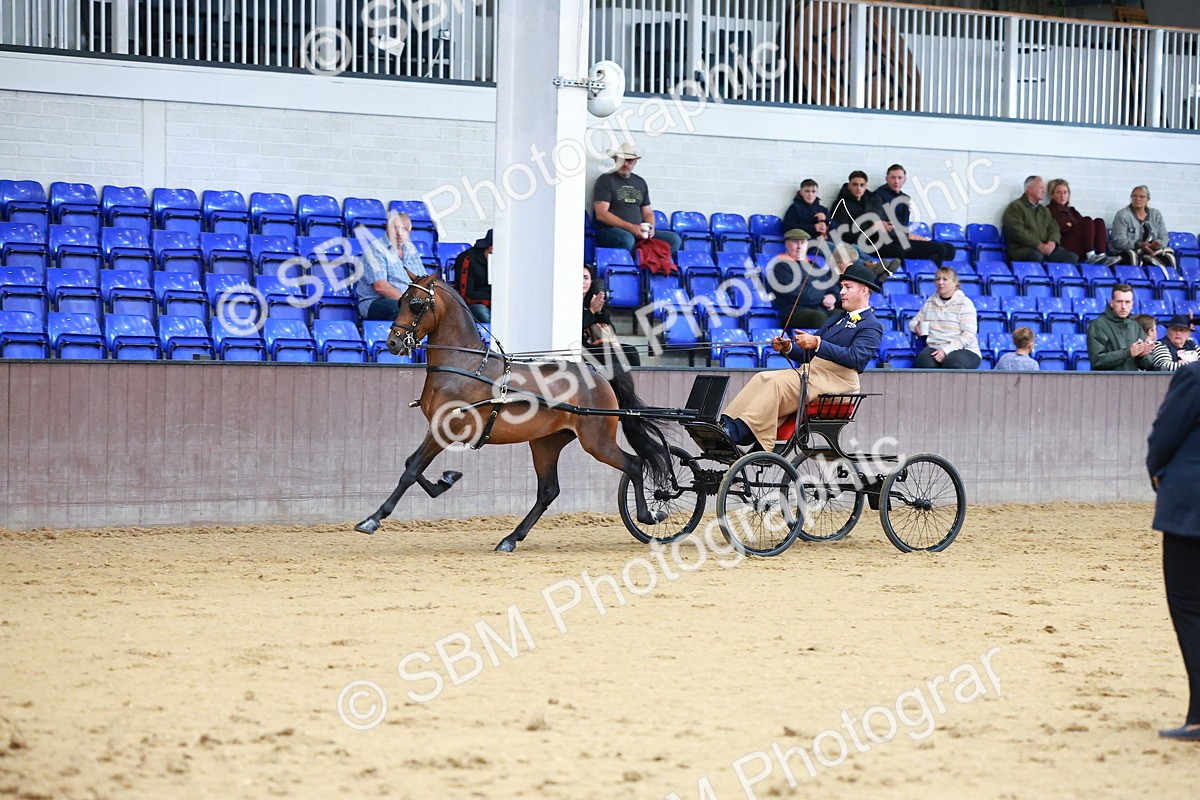 SBM_000651 - Class 9 - HHS Championship Intl Hackney Pony to a Showwagon