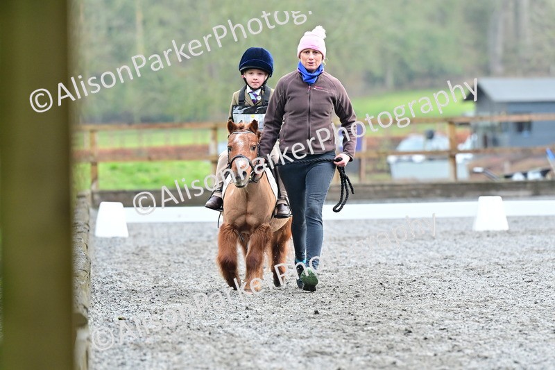 20260125-0930 - Class 9a - Walk Trot Assisted