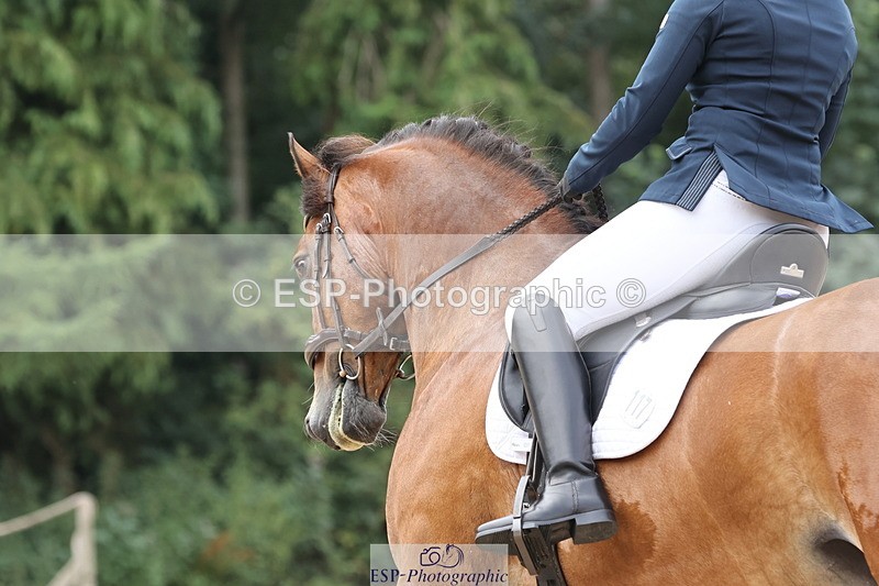 250718A-114558-00952 - 117-Alexandra.Northwood-Scurlagecastle.Gino