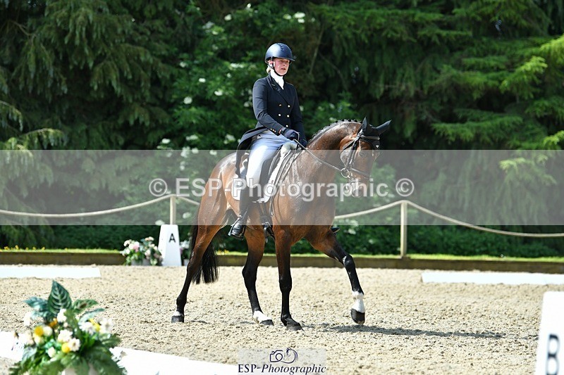 230525-102805-03903 - 412-SAN_SOLO-Imo_Brook-DR