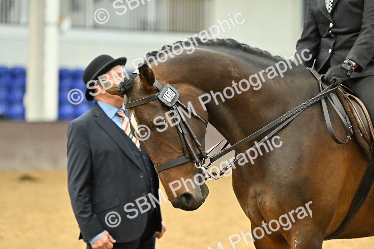 SBM_002076 - Class 23 - BSHA Ridden Show Hunter