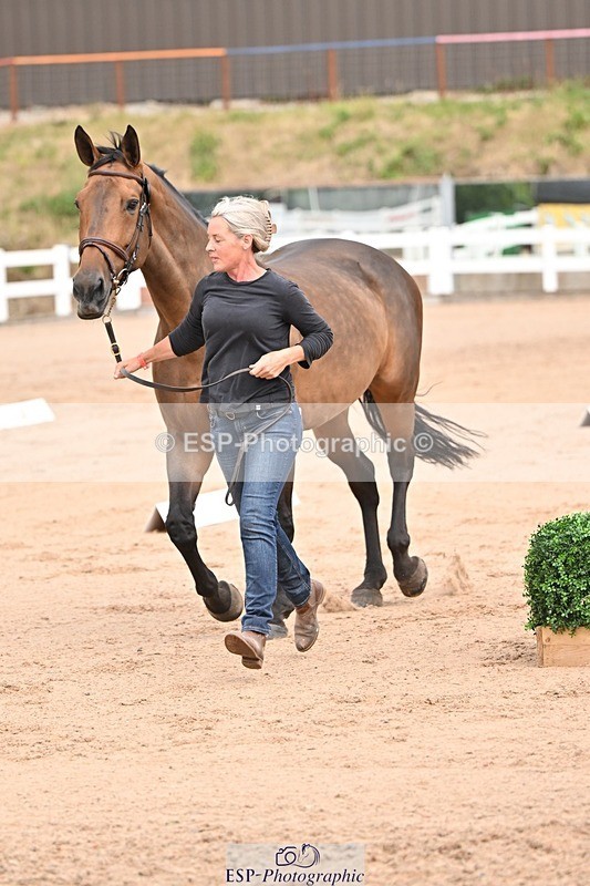 250716-150616-01624 - Trot Up 2.30 to 3.30