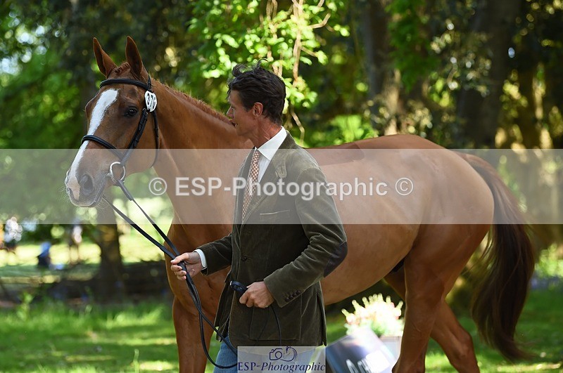 230524-154710-00501 - 370-DUKE_LEGACY-William_Fox-Pitt-WEDTrotUp+DR