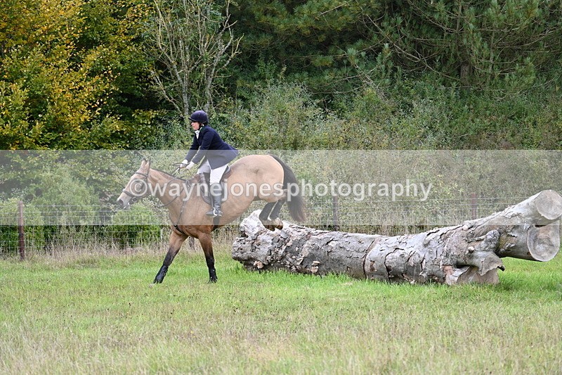 WJ7_3706 - Camera 1 Line 1