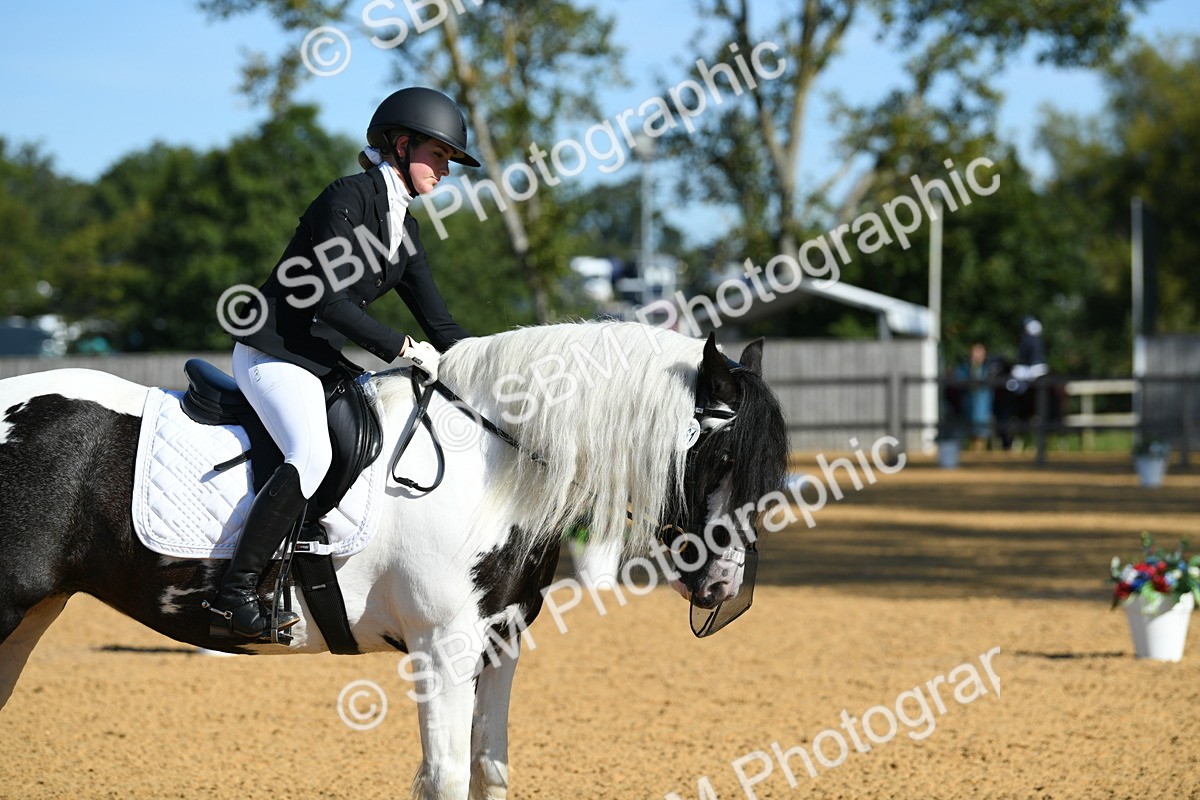 SBM_16294 - D4 - Small Tour Championship - Intro B