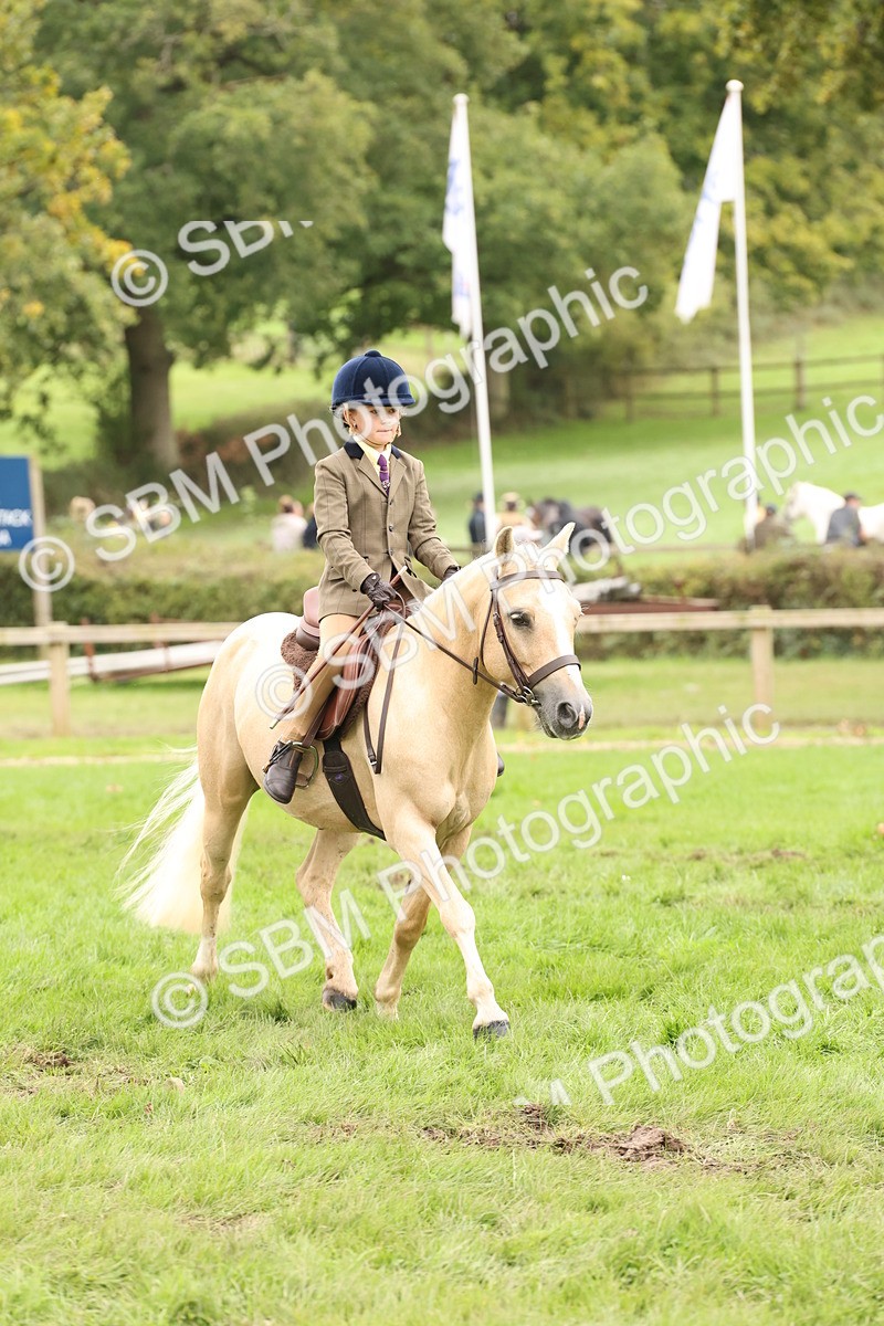 SBM_63040 - S64 - Foreign Breeds Ridden