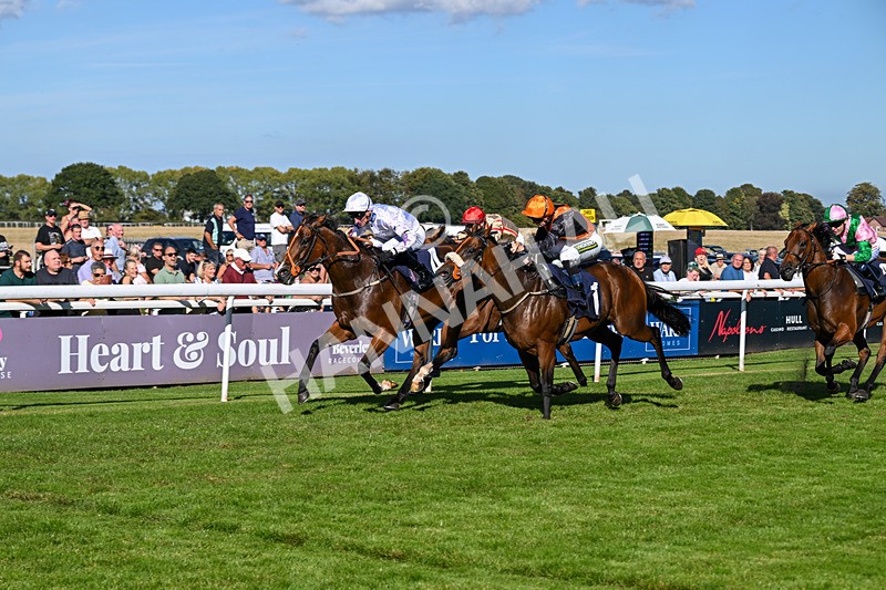 220926-Race 4-Toca Madera-4017 - Race 4 3.15pm Eddie And Violet Smith Conditions Stakes